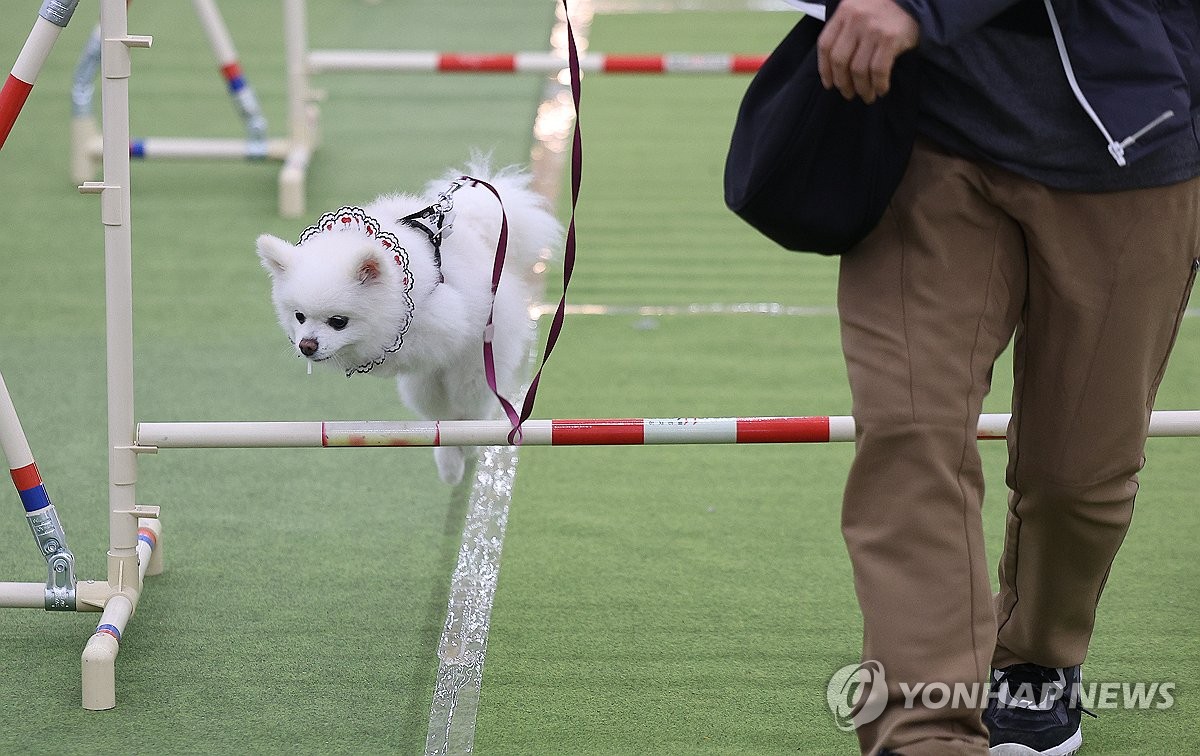 Pet show