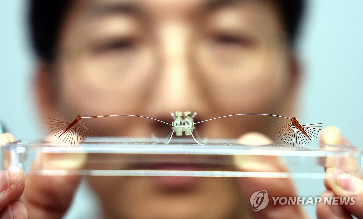 Creation of water-walking robot inspired by water striders