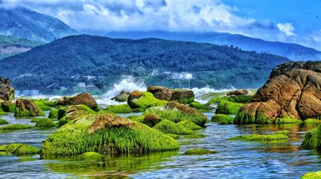 Da Nang photo collection to be exhibited in RoK