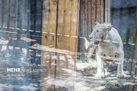 Tehran Grand Zoo