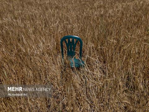 lost moments