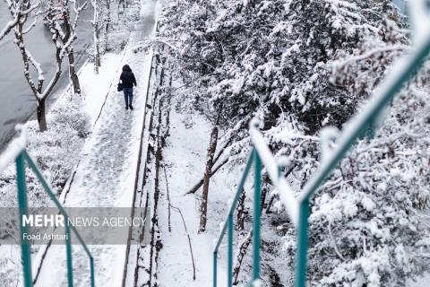 Snowfall in Tehran