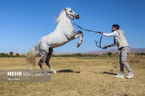 Selected Photos of Mehr 1404 (September - October 2025)