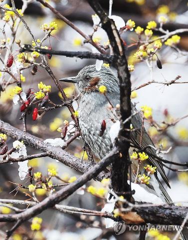 A bird's spring feast