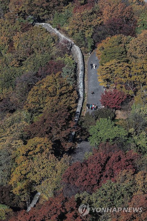 Autumn leaves in Seoul
