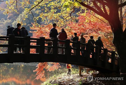 Autumn leaves in S. Korea