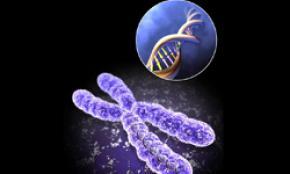 Deprivation and Neglect Found to Age Children's Chromosomes