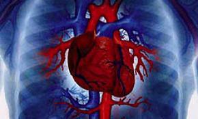 Researchers Create Nanopatch for Heart