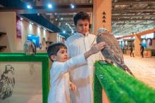 English Farm 'Falcon Mews' Showcases 45 Falcons of Distinguished Breed at International Falcon Breeders Auction 2024