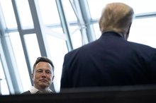 musk and trump