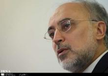 Salehi Bids Farewell To Outgoing Brazil Envoy 