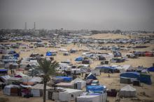 Gaza strip