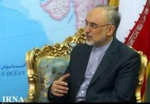 Salehi, İhsanoğlu Discuss Iraq, Syria, Mali Events