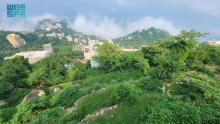 Jazan Mountains Bathed in Lush Green