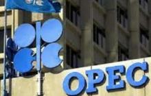 Iran Min., OPEC Fund Chief Confer In Washington  