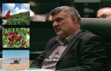  Agriculture Jihad Minister: Food security a major strategy of Iran  