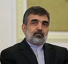 Salehi Appoints AEOI Spokesman