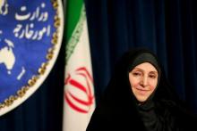 Iran To Open New Chapter In Ties With PG States : Afkham  