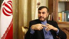 Providing Terrorists In Syria With Weapons, Major Blunder: Deputy FM  