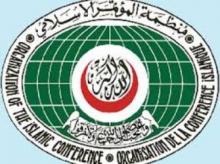 OIC Condemns Violence Against Muslims In CAR