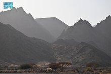 Towering Mountains, Nature's Beauty Unfold at Madinah's Al-Bayda Park