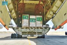 36th Saudi Relief Plane with Aid for Palestinians in Gaza Arrives in Egypt