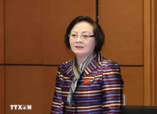 Minister of Home Affairs Pham Thi Thanh Tra (Photo: VNA)