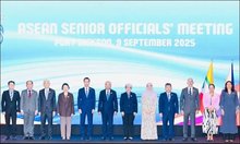 Participants at the event (Photo: MOFA)