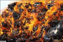 Over Hundred Tons Illegal Drugs To Be Destroyed 