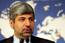 Syrian Crisis Could Be Settled By Influential States: Official