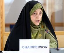 VP: Developed States Fulfill Their Commitments For Confronting Climate Change