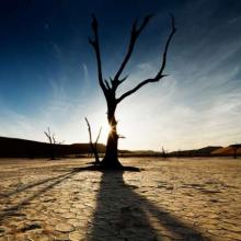 Around 78% Iranian Plains On Verge Of Destruction