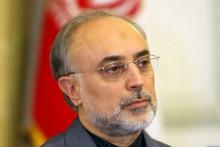 Salehi Inspects Fuel Enrichment Complex In Natanz