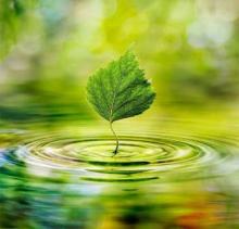 Rezaei stresses importance of environment