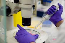 Iran’s laboratory facilities on par with int’l standards