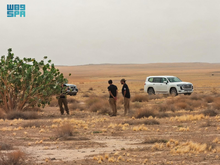King Abdulaziz Royal Reserve Unveils Results of ‘Soil Seed Bank’ Project to Enhance Vegetation Sustainability