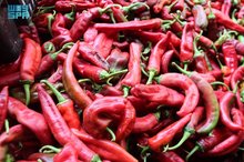 Red Peppers: Tunisian Gold Crafted by Women