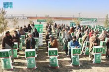 KSrelief Distributes 363 Food Baskets in Afghanistan's Samangan