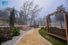 Al-Baha Winter: A Serene Destination Awash in Fog