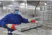 Illustrative image (Photo: VNA)