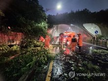 Fire authorities carry out safety measures after a tree fell on a road amid heavy rain in the western city of Incheon on July 16, 2025, in this photo provided by local fire authorities. (PHOTO NOT FOR SALE) (Yonhap)