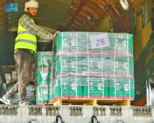 35th Saudi Relief Plane with Aid for Palestinians in Gaza Arrives in Egypt