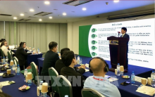 At the conference on green transformation in agricultural and food production for EU market expansion held on November 13. (Photo: VNA)