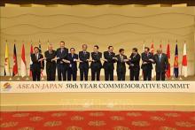 Vietnam contributes to common success of ASEAN - Japan summit: official