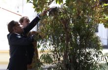 MELBOURNE, March 6 -- Prime Minister Datuk Seri Anwar Ibrahim attends the retreat session of the ASEAN-Australia Special Summit at the Government House, today.  He had the opportunity to see the koala bear which is quite synonymous with Australia.  --fotoBERNAMA (2024) COPYRIGHT RESERVED