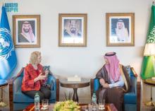 Minister of State for Foreign Affairs Meets UN Environment Program Chief