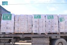 New Saudi Aid Convoys Arrive in Southern Gaza