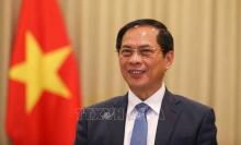 Deputy Prime Minister and Foreign Affairs Minister Bui Thanh Son (Photo: VNA)
