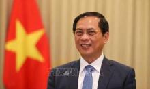 Deputy Prime Minister and Minister of Foreign Affairs Bui Thanh Son. (Photo: VNA)
