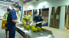 durian